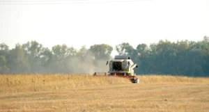Українські Національні Новини (УНН)
