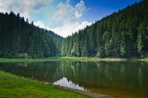 Колишній чиновник Держземагентства незаконно втратив 36,5 га земель