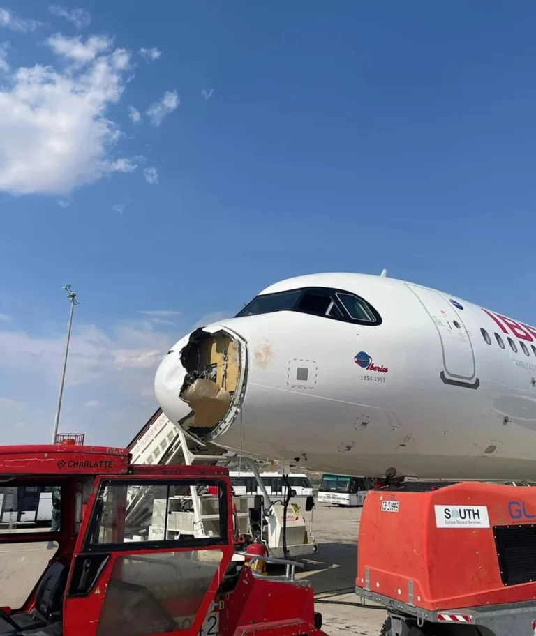 В Іспанії літак був змушений здійснити аварійну посадку через зіткнення з хижим птахом