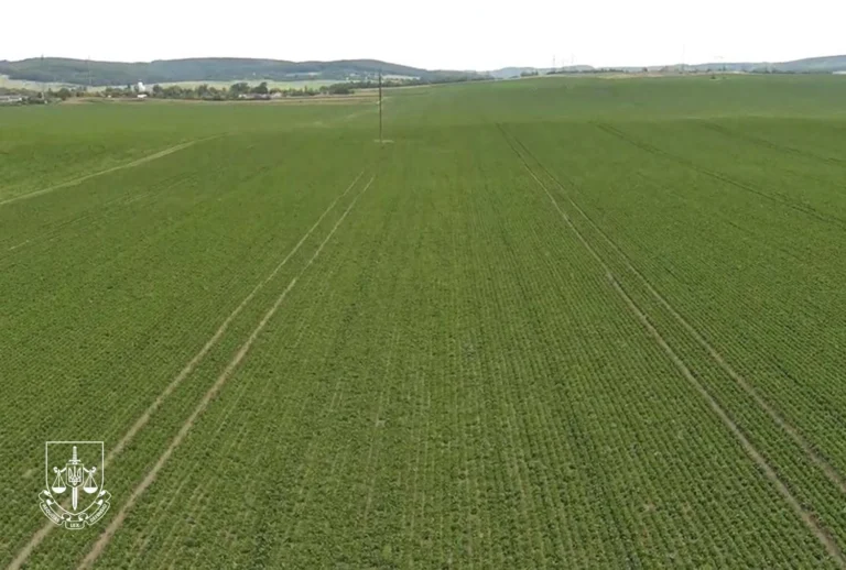 Українські Національні Новини (УНН)