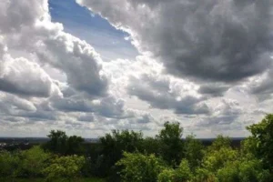Українські Національні Новини (УНН)