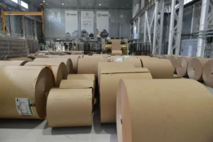Українські Національні Новини (УНН)
