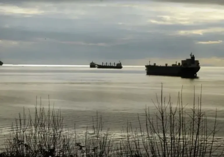 Українські Національні Новини (УНН)