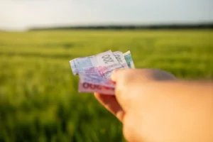 Українські Національні Новини (УНН)