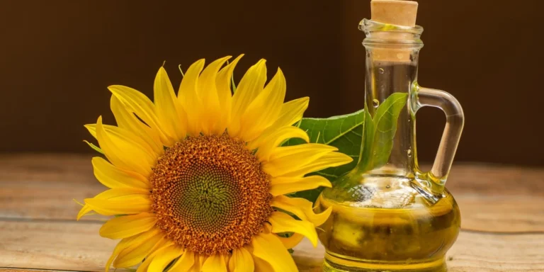 Ціни на соняшникову олію в Європі та Україні різко зросли через посушливе літо - Вloomberg