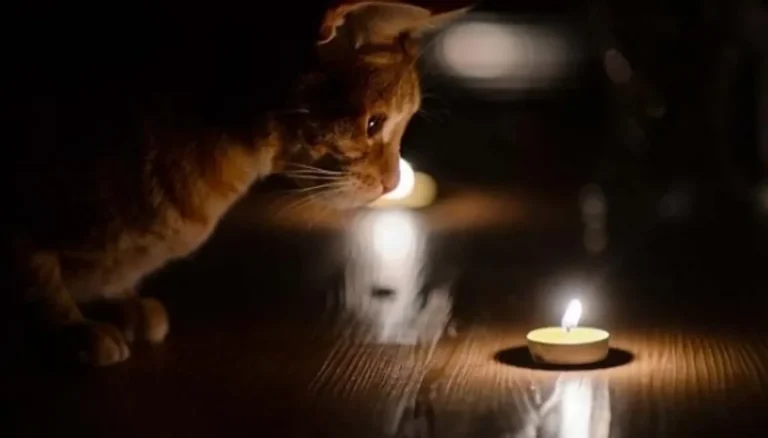 Понад 50 тисяч абонентів на Чернігівщини залишилися без світла після атаки - обленерго