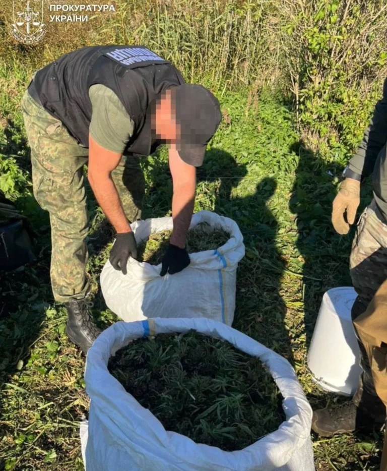 Українські Національні Новини (УНН)