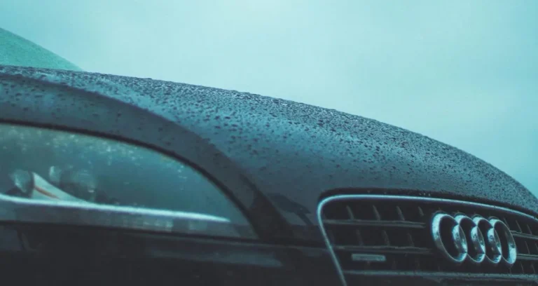 Українські Національні Новини (УНН)