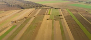 Українські Національні Новини (УНН)