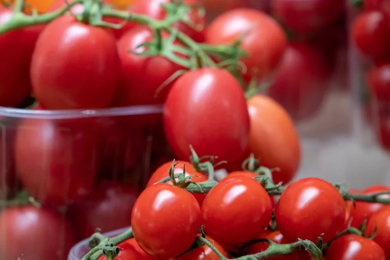 Тепличні помідори подорожчали: причини і що з цінами буде далі