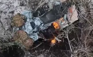 Українські Сили оборони показали розгром чотирьох взводів росіян на Покровському напрямку