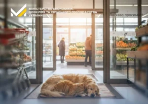 Українські Національні Новини (УНН)