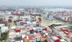 Українські Національні Новини (УНН)