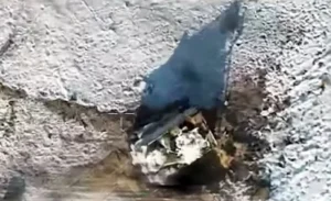 Прикордонники на Півдні знищили човен і роботизований комплекс ворога