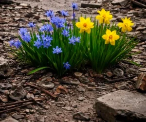 Українські Національні Новини (УНН)