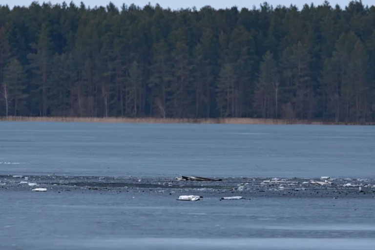 У Литву залетів і вибухнув невідомий дрон, ймовірно, з білорусі - ЗМІ