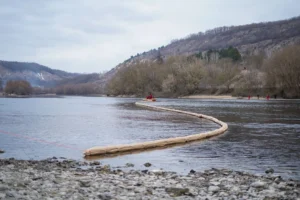 Нові нафтові плями на Дністрі та загибель птахів виявили на півночі Молдови