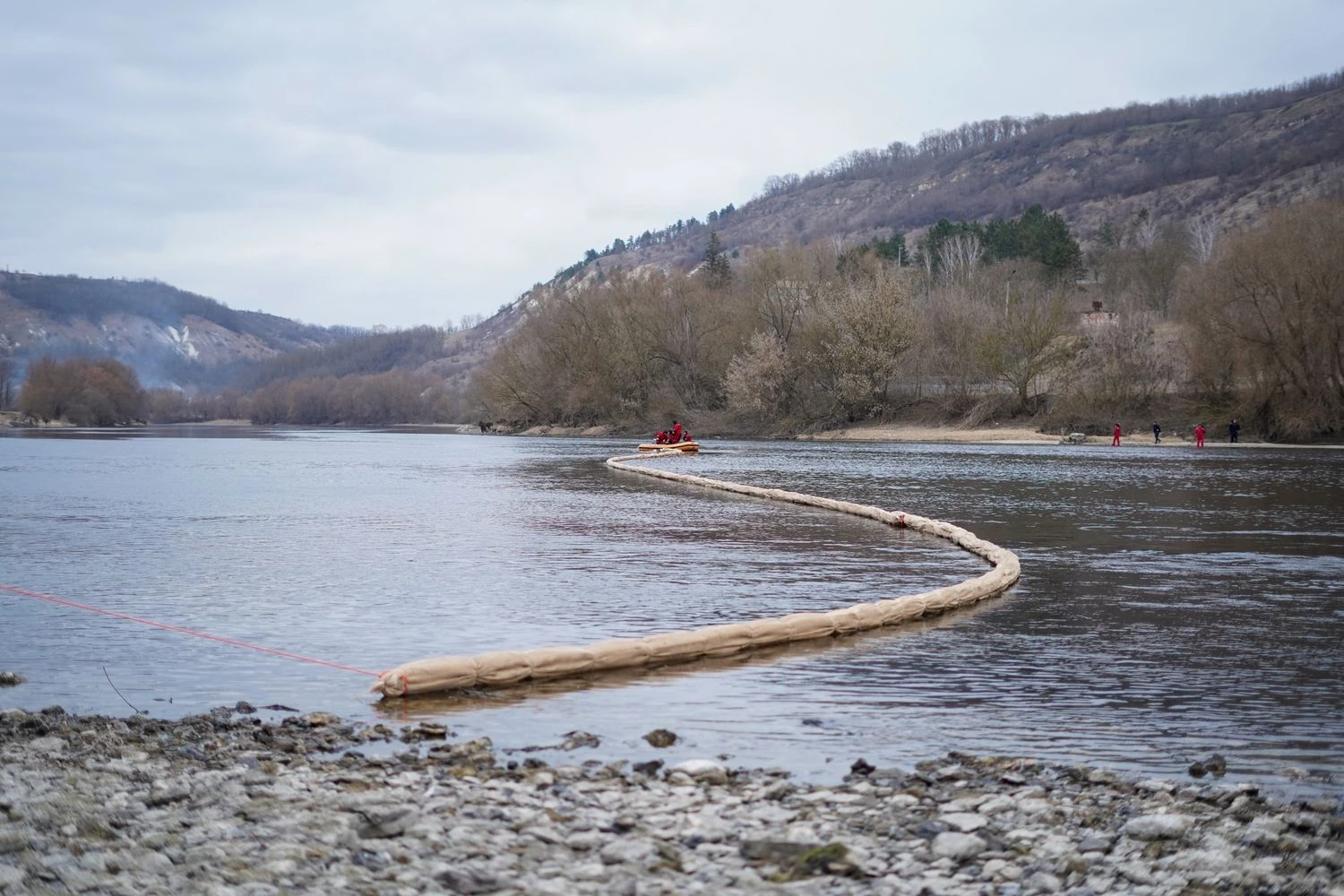 Нові нафтові плями на Дністрі та загибель птахів виявили на півночі Молдови