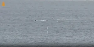 ВМС ЗСУ знищили ворожий морський безекіпажний катер біля Одеси