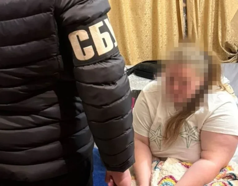 Готувала теракт у Житомирі під виглядом кур