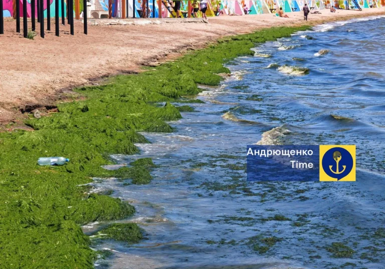 Азовське море у травні аномально зацвіло та почало викидати водорості на узбережжя - Андрющенко