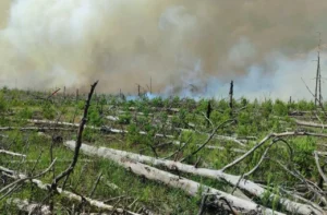 Українські Національні Новини (УНН)
