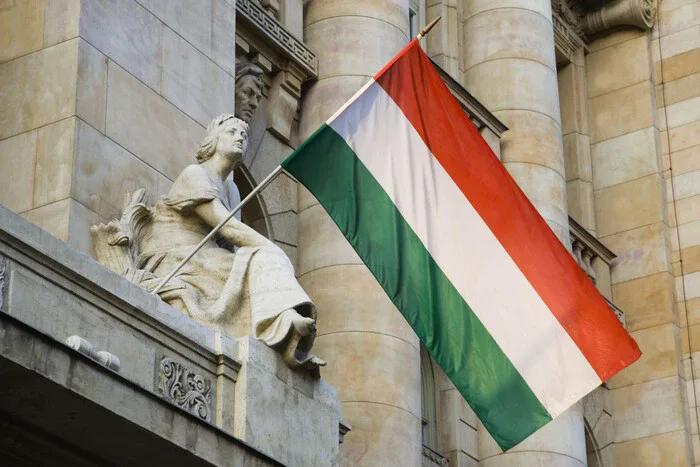 Українські Національні Новини (УНН)